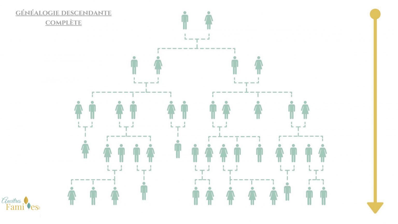 arbre-g-n-alogique-descendant-anc-tres-et-familles-g-n-alogiste